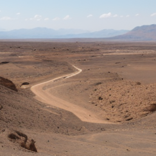 Drought-stricken rangeland